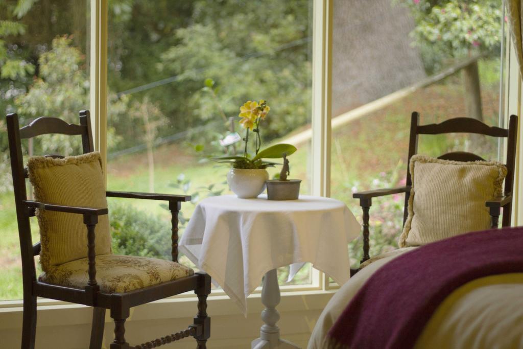Billy Buttons Bed And Breakfast Emerald Pokoj fotografie